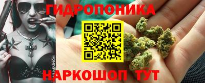 шишки Усть-Джегута