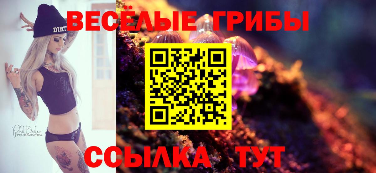 Лыткарино  Галлюциногенные грибы GOLDEN TEACHER  Псилоцибиновые грибы GOLDEN TEACHER  Вход с VPN 